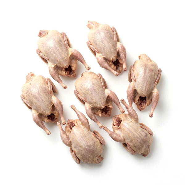 Quail